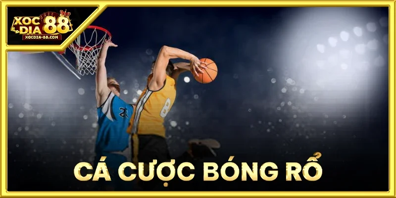 Cá Cược Bóng Rổ