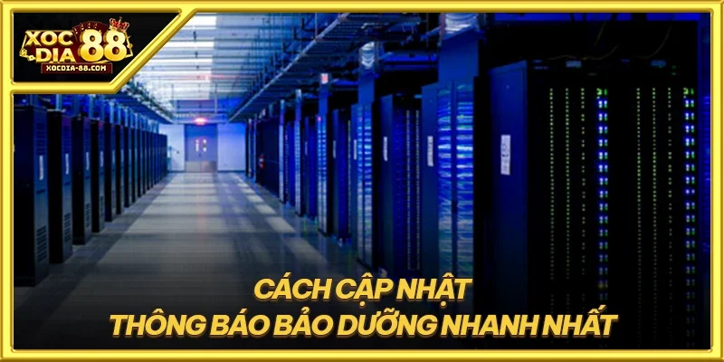 Cách cập nhật thông báo bảo dưỡng nhanh nhất