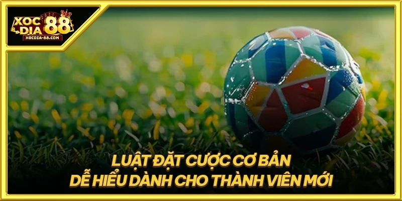 Luật đặt cược cơ bản dễ hiểu dành cho thành viên mới