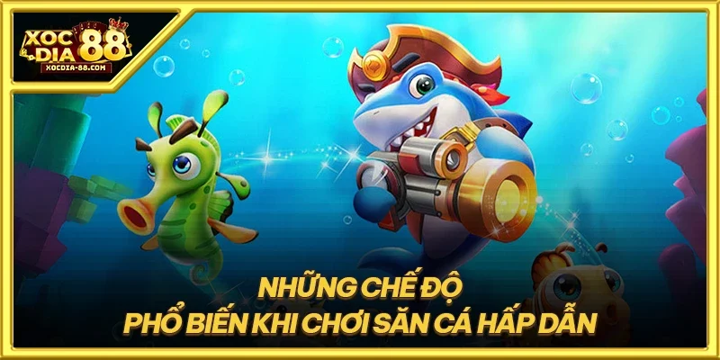 Những chế độ phổ biến khi chơi săn cá hấp dẫn