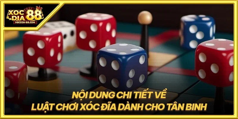 Nội dung chi tiết về luật chơi xóc đĩa dành cho tân binh