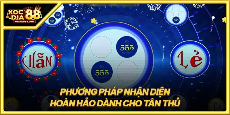 Phương pháp nhận diện hoàn hảo dành cho tân thủ