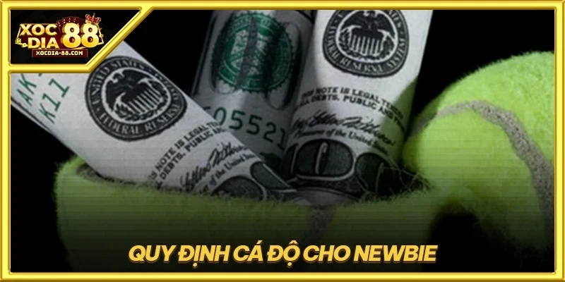 Quy định cá độ cho newbie
