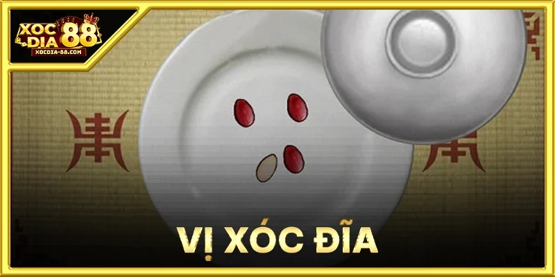 Vị Xóc Đĩa